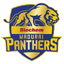 Siechem Madurai Panthers Flag